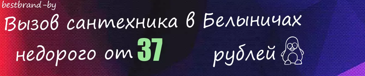Сантехник в Белыничах